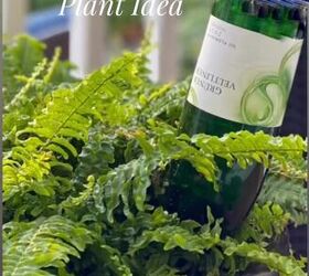 The curious (and useful!) reason she sticks a wine bottle in her planter (and why you should, too!)