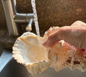Pour water into a big shell for one of the most unique ideas we've seen in a while