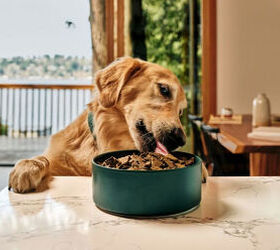Real Food Without the Hassle
