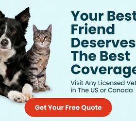 The vet bill that could've cost $3,000 cost this pet parent $300