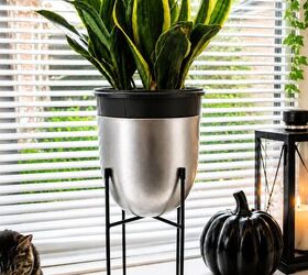 Watch how she hid her too-big plant pot while quietly upgrading it (in just 5 minutes!)