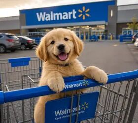 10 Clever Walmart Finds Everyone Is Rushing To Buy (Before They Sell Out)