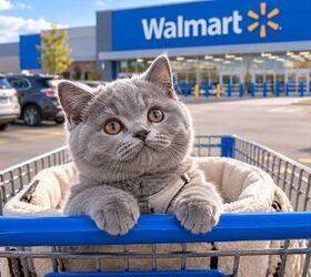 7 Things Walmart Employees Buy First When They Clock In Under $50