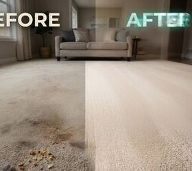 The New BISSELL Vacuum That Reveals 6X More Pet Fur Hiding in Your Carpet