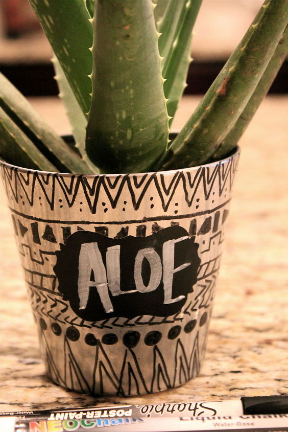 savvy succulents, flowers, gardening, home decor, succulents