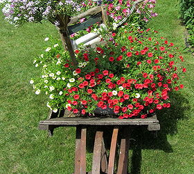 revisiting three whimsical junk garden vignettes, gardening, outdoor living, repurposing upcycling, The Wheelbarrow Vignette laundry tubs laundry stomper wringer calibrachoa nicotiana heliotrope and alyssum