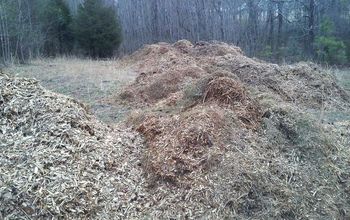 Mulch piles doing all the work for me.