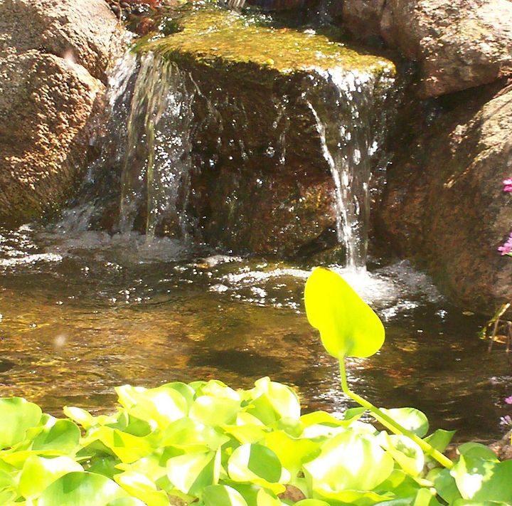 Ponds Inc. of Illinois
Website: www.ponds-inc.com
Facebook: https://www.facebook.com/PondsInc
Hometalk: http://www.hometalk.com/ponds
Pinterest: http://pinterest.com/pondsinc
Twitter: https://twitter.com/PondsInc4you
Flickr: http://www.flickr.com/photos/pondsincofillinois/
Certified Aquascape Contractor (CAC) in your area: http://www.aquascapeinc.com/findcontractors.php