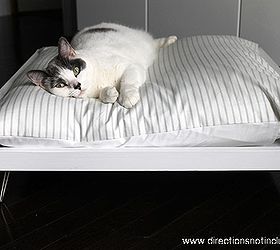 diy midcentury pet bed, diy, painted furniture, pets animals, It is easy to make your pet happy with a few 1x4s a 1x2 some scrap plywood and hair pin legs