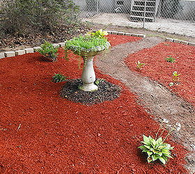 updates on repurposed birdbath sedum, flowers, gardening, repurposing upcycling, Beginning of Summer Springtime about a month old