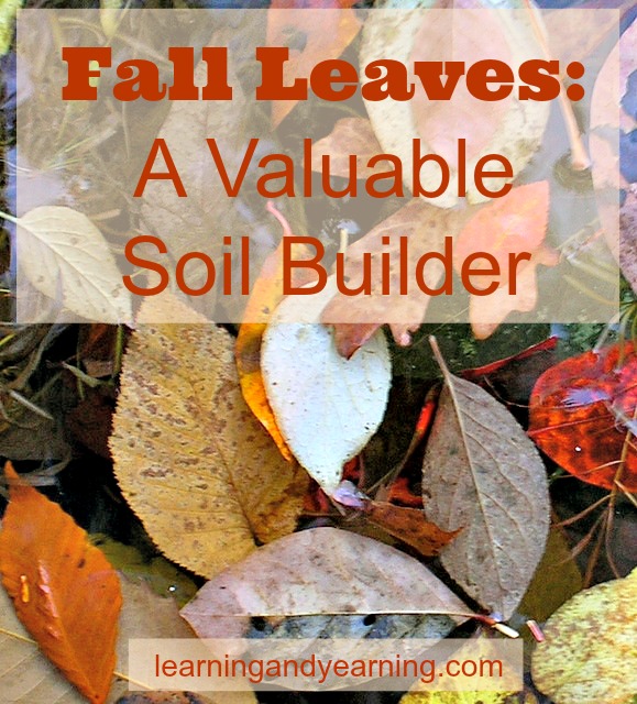 fall leaves a valuable soil builder, gardening, landscape, lawn care