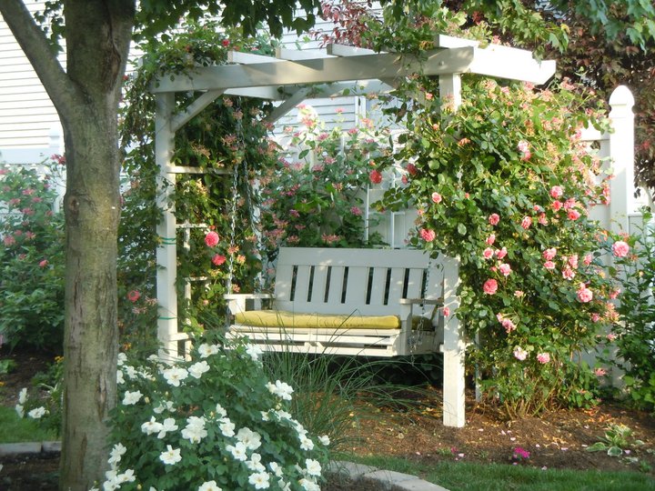 arbor swing my father made for me what a great birthday gift this was thanks dad, gardening, outdoor furniture, outdoor living, painted furniture