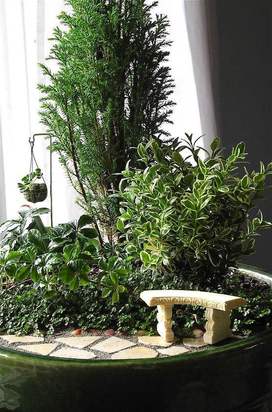 about indoor miniature gardening plus gallery of inspiration, gardening