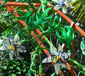 visit to phipps conservatory summer show glass art butterflies, flowers, gardening, outdoor living, Glass passion flower at Phipps Conservatory