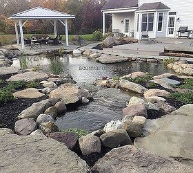 gorgeous ecosystem waterfall garden pond monroe county rochester ny, landscape, outdoor living, ponds water features, Does this look like an ideal location for a patio pond party