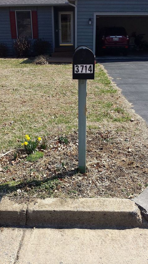 q new homeowner looking for landscaping ideas, gardening, landscape, I was thinking something colorful here but nothing that would attract bees