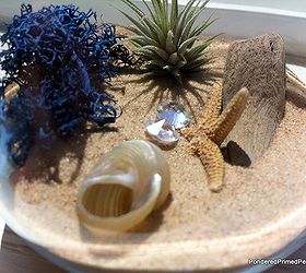 mini beach terrarium in stemless wine glass, gardening, repurposing upcycling, seasonal holiday d cor, terrarium, It has such a fun beach vibe and that plant only needs to be watered every other week So easy and fun to do