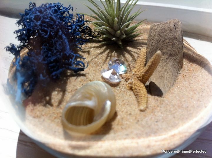 mini beach terrarium in stemless wine glass, gardening, repurposing upcycling, seasonal holiday d cor, terrarium, It has such a fun beach vibe and that plant only needs to be watered every other week So easy and fun to do