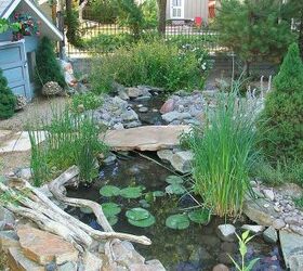 our work, flowers, gardening, outdoor living, pets animals, ponds water features, Prescott AZ