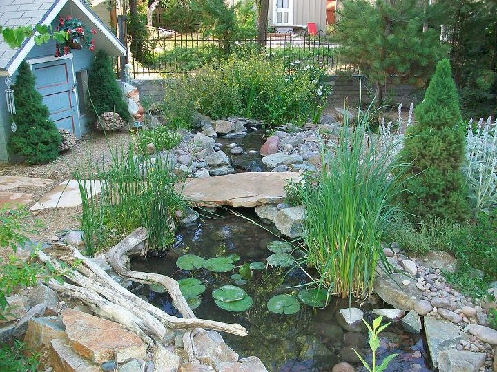 our work, flowers, gardening, outdoor living, pets animals, ponds water features, Prescott AZ
