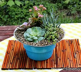 how to build and plant a succulent garden, diy, flowers, gardening, how to, succulents, Since there were some questions about Indoor Succulent Gardens I thought I would add a photo of the one we created for indoors They do great indoors