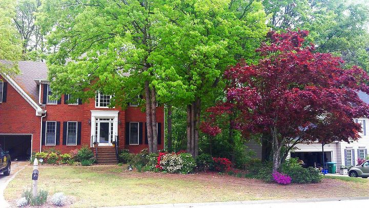 q i ve got to reorganize my yard open to suggestion, flowers, gardening, landscape, Despite the crappy lawn and some of my azaleas struggling and someone dropping a pine tree on my japanese maples last summer it doesn t look too too bad