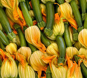 fun ways to eat and drink edible flowers, flowers, gardening, Get a recipe for stuffed squash Photo by Clayirving Flickr