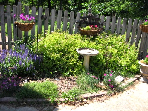 perennial gardens, flowers, gardening, perennials, The entire perennial bed