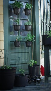 tips for container gardening, container gardening, gardening, I love how they drain into each other