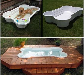 everything wonderful for our pets, decks, pets animals, pool designs, We have a plastic pool now but this would be just perfect They could play in their pool and I could cool off in mine heheh
