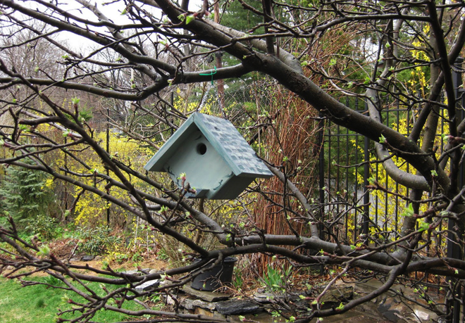 placing birdhouses in the garden, flowers, gardening, Keeping some birdhouses directly out of the garden and in a more natural setting adds to the charm along with helping birds to feel more secluded and safe