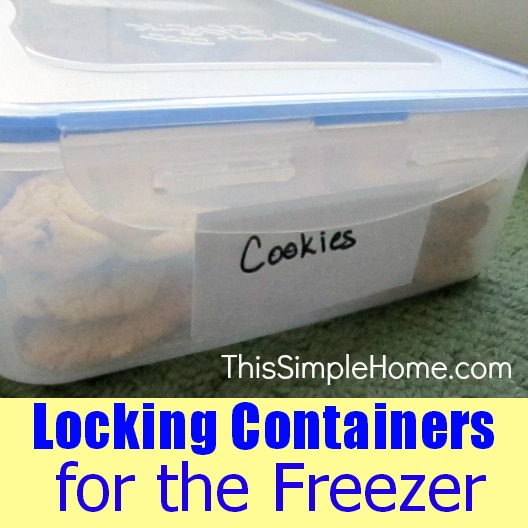 freezer organization, appliances, organizing