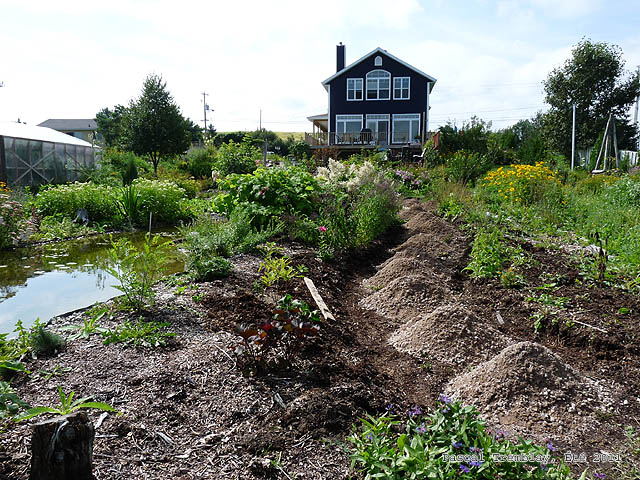 garden path design idea, gardening, landscape, outdoor living, ponds water features, Gravel Pathway See how to build it