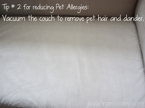 how reduce cat allergies, cleaning tips, pets animals