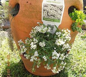 strawberry container ideas to plant, container gardening, flowers, gardening, my fav flower in 3rd hole