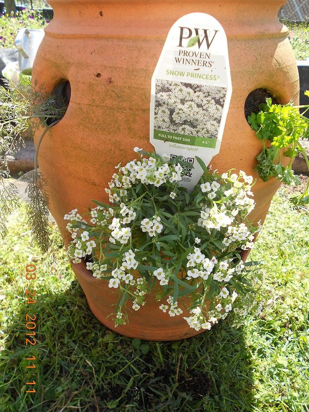strawberry container ideas to plant, container gardening, flowers, gardening, my fav flower in 3rd hole