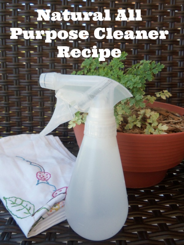 natural all purpose cleaner recipe, cleaning tips