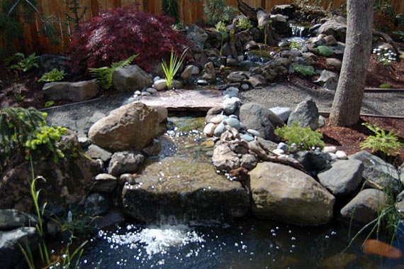 before and after hillsboro oregon backyard renovation, flowers, outdoor living, patio, pets animals, ponds water features, A focus on the water feature that Classic Garden Creations built for Rick and Diane in their backyard in Hillsboro Oregon