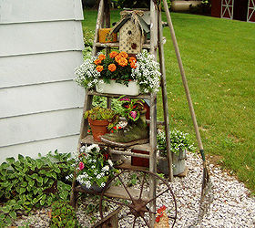 old ladders reach new heights in the garden, gardening, repurposing upcycling, Jean Morrow