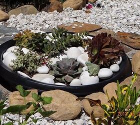 some new pics of my sanctuary, gardening, ponds water features