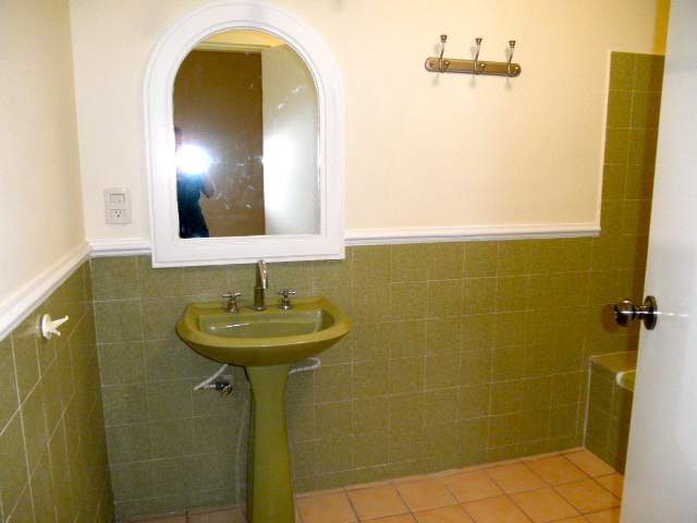 q updating bathroom in rental, bathroom ideas, home decor, tiling, guest room bath hate the green this bathroom has tub