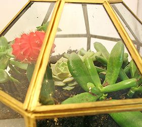 pendant light turned terrarium, flowers, gardening, repurposing upcycling, succulents, terrarium, Then just plant and go