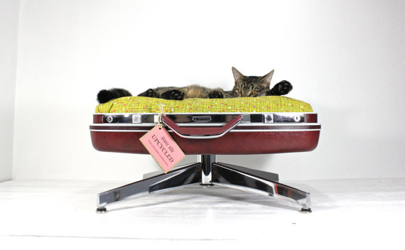 furniture for pets, painted furniture, pets animals, An upcycled suitcase cat bed