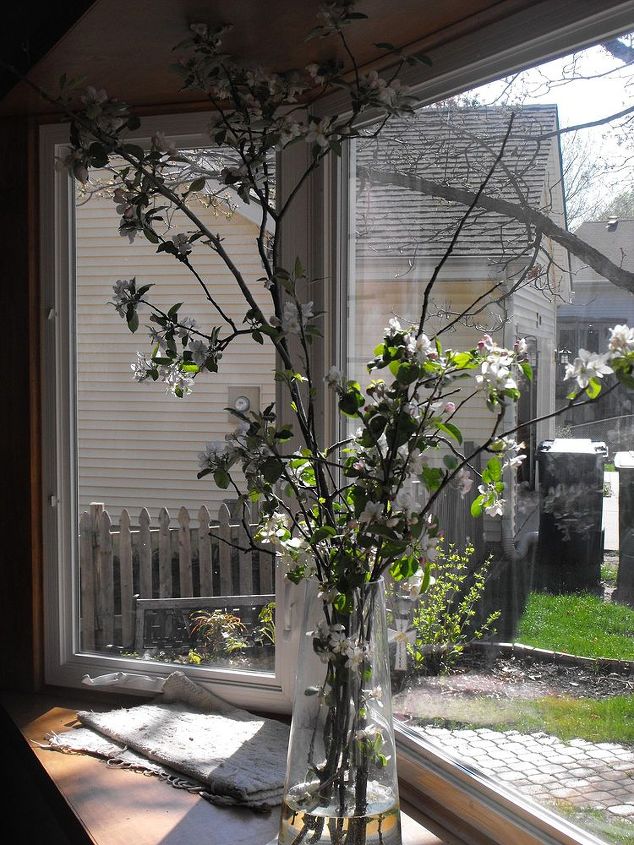 spring, container gardening, easter decorations, flowers, gardening, seasonal holiday d cor, Crab apple branches brought in early to bloom for Easter