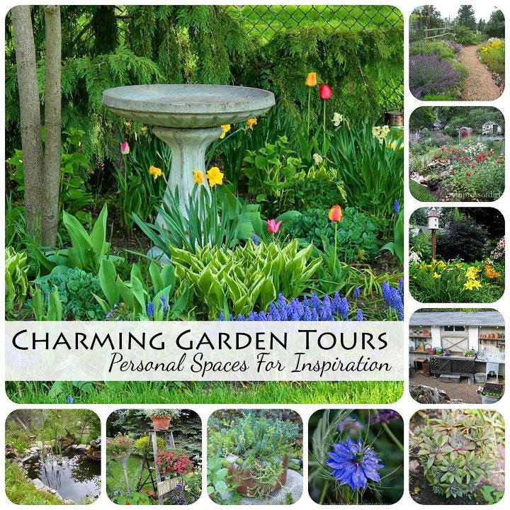lo mejor de 2013, Los Garden Charmers compartieron sus jardines personales en agosto