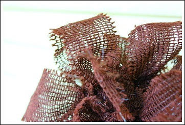 pumpkin topiary fall decorating ideas, container gardening, crafts, gardening, seasonal holiday decor, Now all your topiary needs is a bow