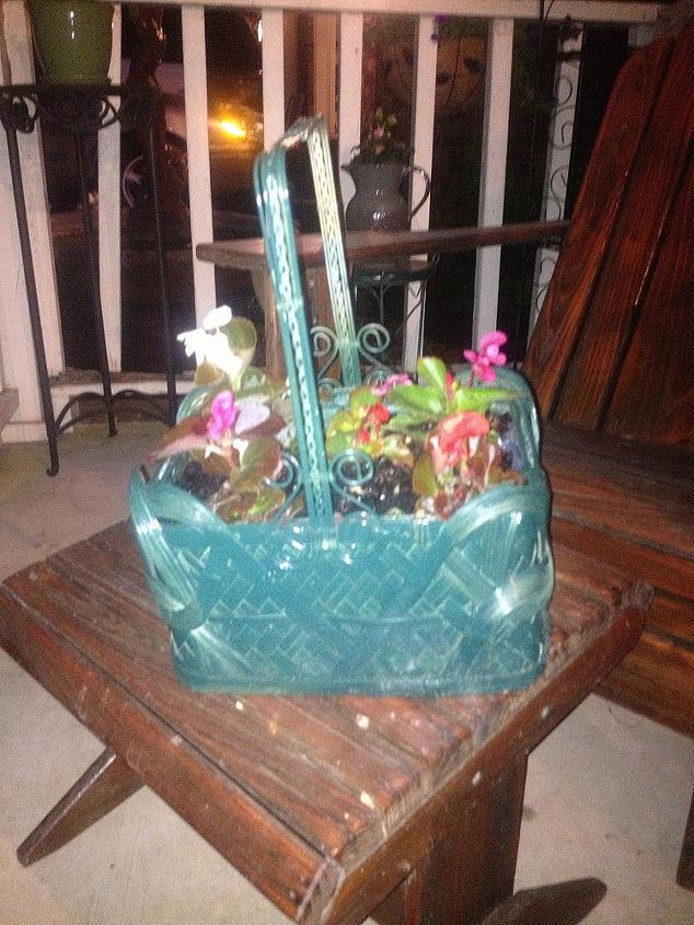 flower pots, flowers, gardening