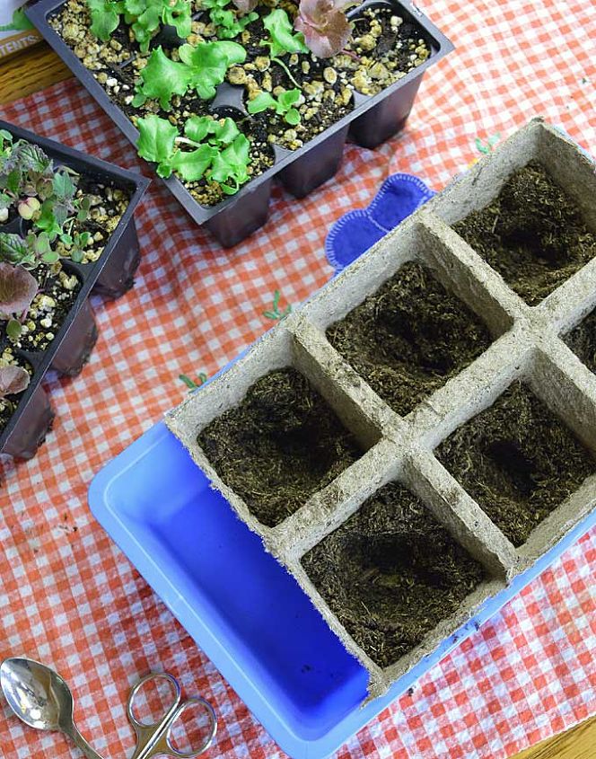 how to pot up your seedlings, gardening, homesteading