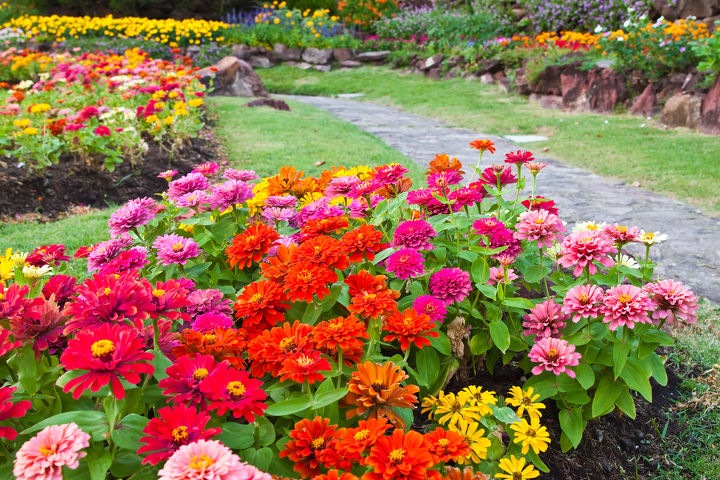 seasonal garden plants, flowers, gardening, hydrangea, landscape