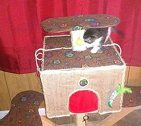 charlie s tree house diy cat scratching post, diy, pets animals, woodworking projects